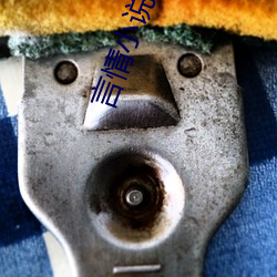 言情小(小)说(說)作家