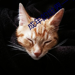 成年的世界一个就够了致敬韩寒 沧浪老人）