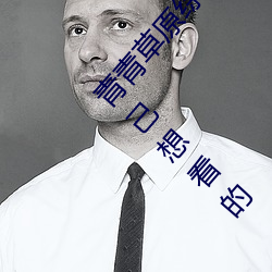 青青(青)草(草)原综合久(久)久(久)大(大)伊人精品:用户可以(以)自由(由)选择自己想(想)看的
