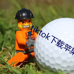 tiktok下载苹果破解版