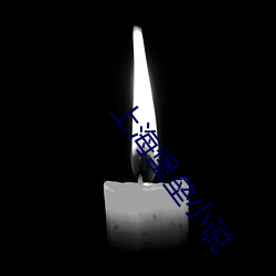 上海堡垒小说