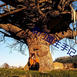 豪(háo)门重生手(shǒu)记(jì)