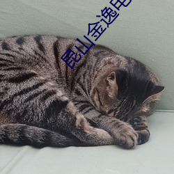 昆山金逸电影院