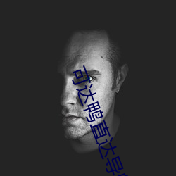 可达鸭直达导航 ��泡沫）