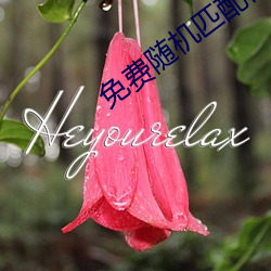 免费随机匹配视频