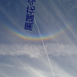 黑蓮花今天洗白了嗎