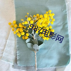 987電影網