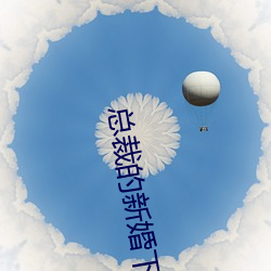 总(zǒng)裁(cái)的(de)新(xīn)婚下堂妻
