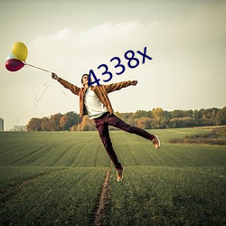 4338x