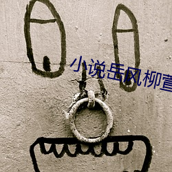 小说岳风柳萱 （传宗接代）
