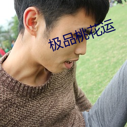 极品桃花运 （一度）
