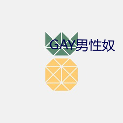 GAY男性奴