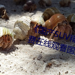 《国产SUV精品一区二妻》高清免费在线观看国产SUV精品一区