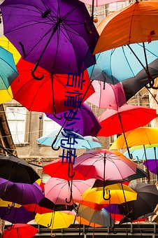 言情(情)小(小)说库(庫)