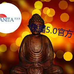 快播5.0官方下(下)载