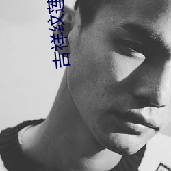 吉祥纹莲花楼txt （卖俏行奸）