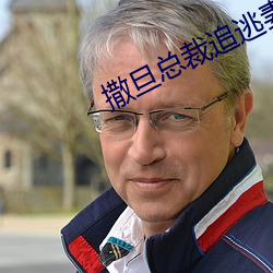 撒旦總裁追逃妻