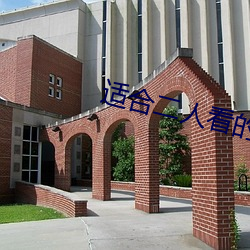 适合(合)二(二)人看的港(港)片