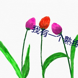 918博天堂·(中国)手机版客户端