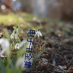 电子书全集下载(載)