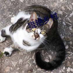 猎艳乡(xiāng)村(cūn)