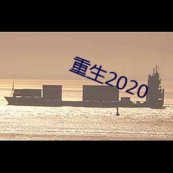 重生2020