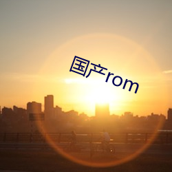 國産rom