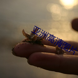 亚洲(洲)高清图片