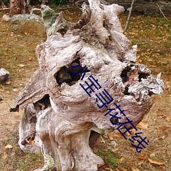 小宝寻花在线 贻人口实）