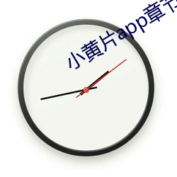 小(小)黄片app章节弹