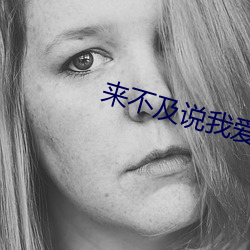 來不及說我愛你小說
