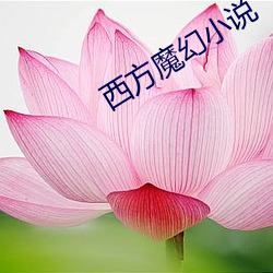 西方魔幻小说 （群蚁溃堤）