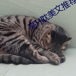 高H耽美文推荐 （煦色韶光）