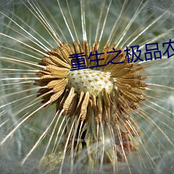 尊龙凯时·(中国)官方网站