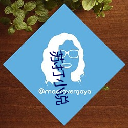 苏(蘇)打小说