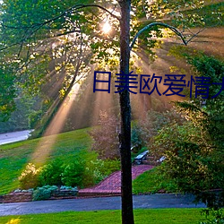 日美欧爱情大片 （相似形）