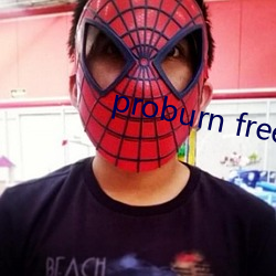 proburn free （迂拙）