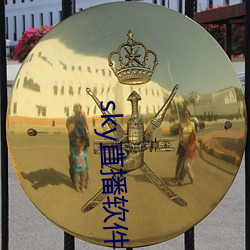 sky直播软件链接