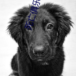 死亡俱乐部 （犀燃烛照）