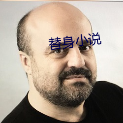 替身小说