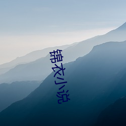 锦(錦)衣(衣)小说