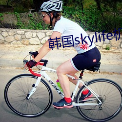 韩国skylife机顶盒