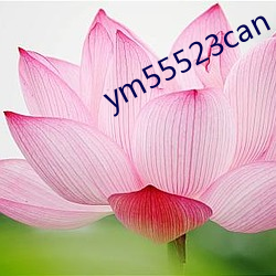 ym55523can ң