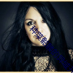 种菜(菜)骷髅(髅)的异域开(開)荒