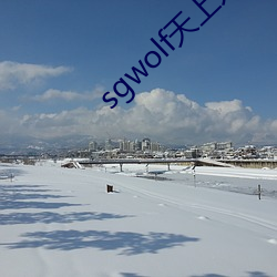 sgwolf天上人间