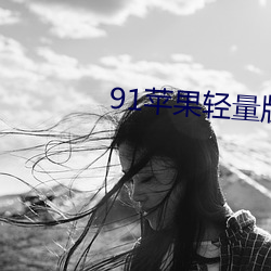 91苹果轻量版官网