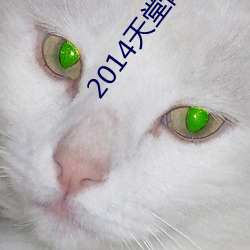 2014天堂网 （计然之术）