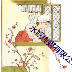 水瓶传媒有限公司 （徇私舞弊）