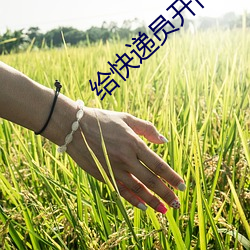 BG大游(中国)唯一官方网站