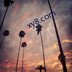 xy8.com